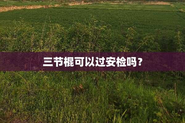 三节棍可以过安检吗？