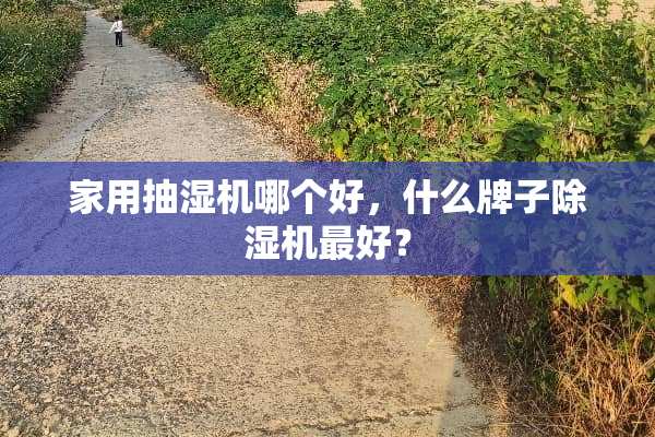 家用抽湿机哪个好，什么牌子***最好？