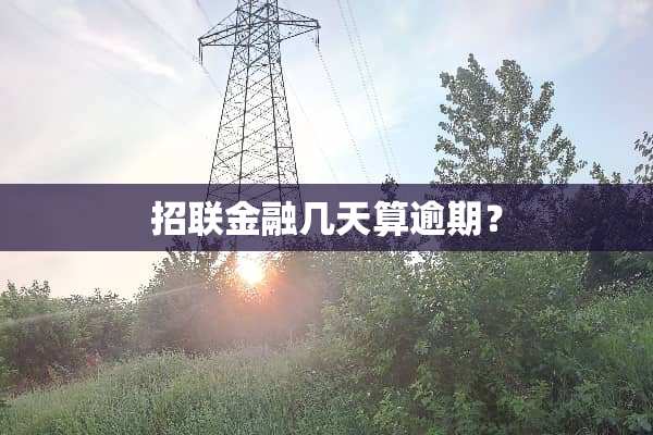 招联金融几天算逾期？