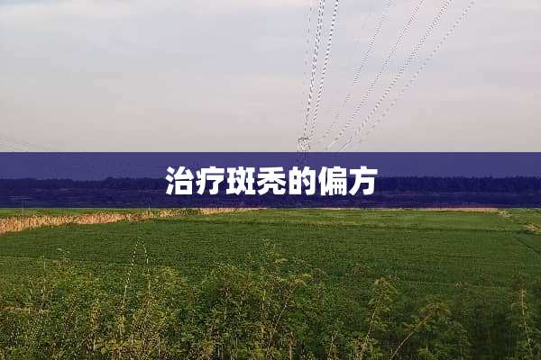 治疗斑秃的偏方