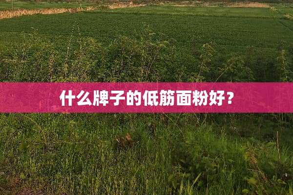 什么牌子的低筋面粉好？