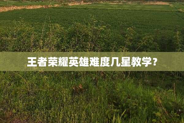 王者荣耀英雄难度几星教学？