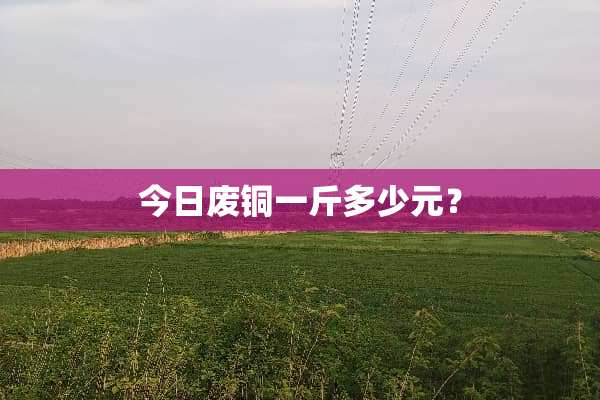今日废铜一斤多少元？