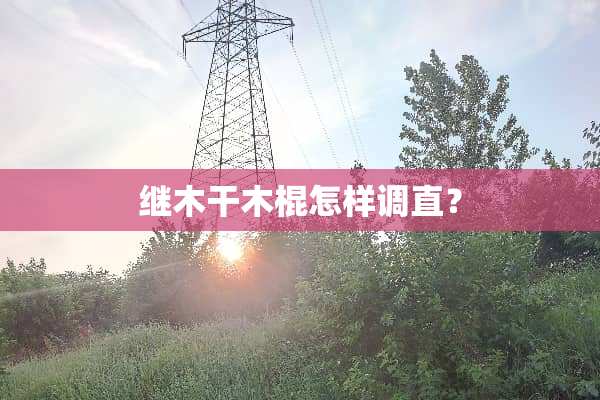 继木干木棍怎样调直？
