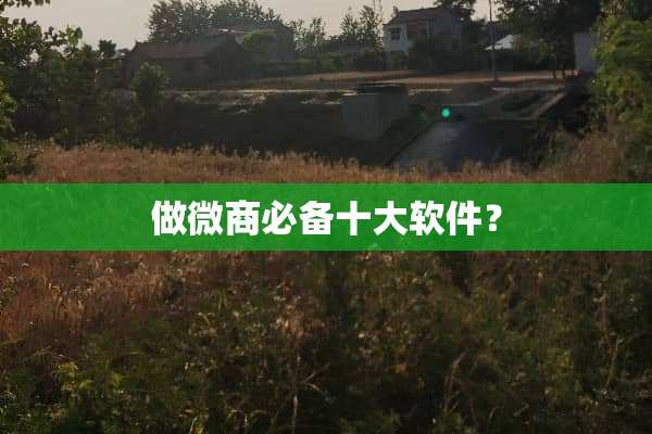 做微商必备十大软件？
