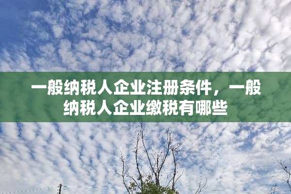 一般纳税人企业注册条件，一般纳税人企业缴税有哪些