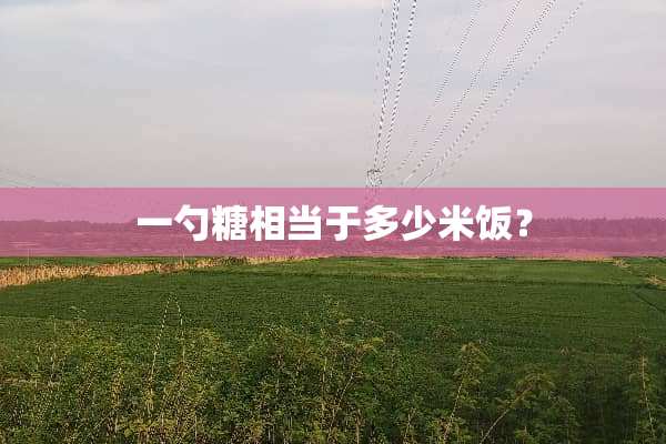 一勺糖相当于多少米饭？