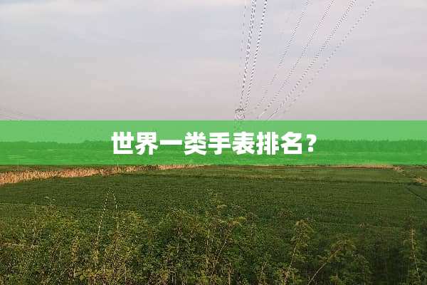 世界一类手表排名？