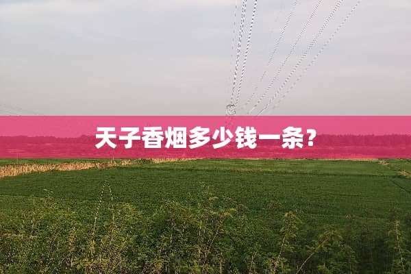 天子香烟多少钱一条？