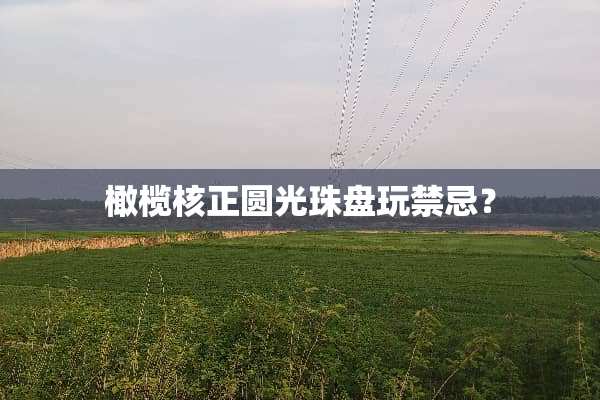橄榄核正圆光珠盘玩禁忌？