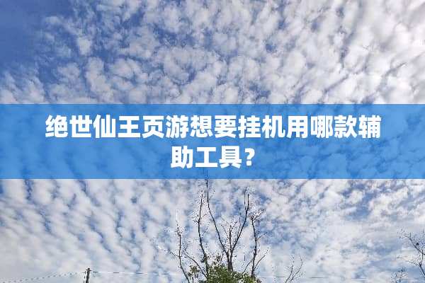 绝世仙王页游想要挂机用哪款辅助工具？