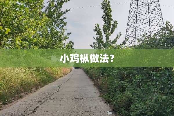 小鸡枞做法？