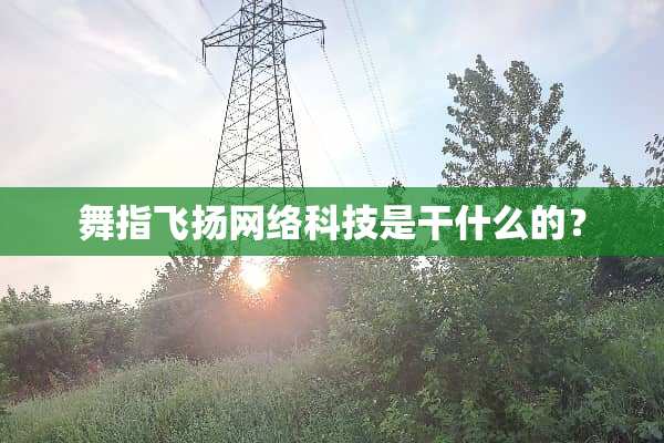 舞指飞扬网络科技是干什么的？