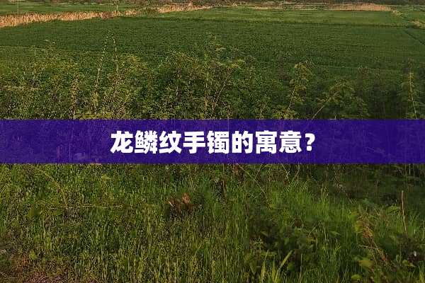 龙鳞纹手镯的寓意？