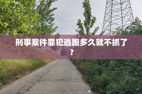 刑事案件罪犯逃跑多久就不抓了？