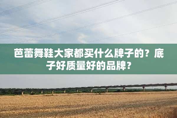 芭蕾舞鞋大家都买什么牌子的？底子好质量好的品牌？