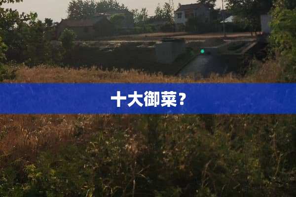 十大御菜？