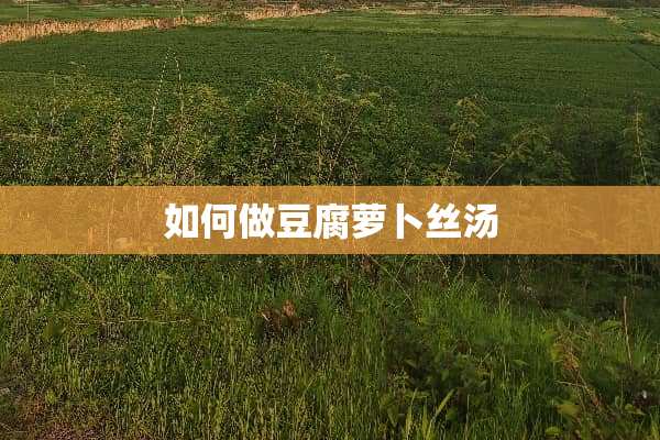 如何做豆腐萝卜丝汤