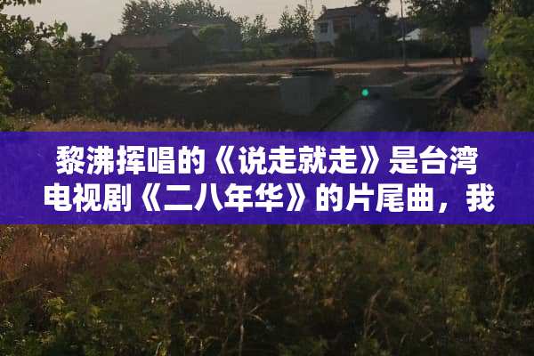 黎沸挥唱的《说走就走》是**电视剧《二八年华》的片尾曲，我找不到我要找的那首