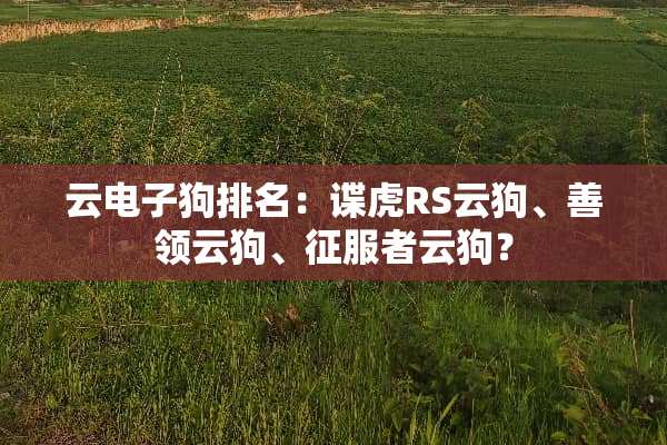 云***排名：谍虎RS云狗、善领云狗、***云狗？