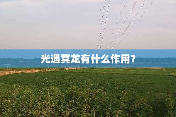 光遇冥龙有什么作用？