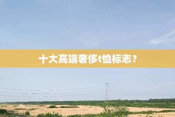 十大高端奢侈t恤标志？