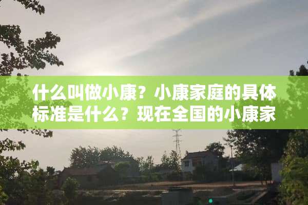 什么叫做小康？小康家庭的具体标准是什么？现在全国的小康家庭占多**例？