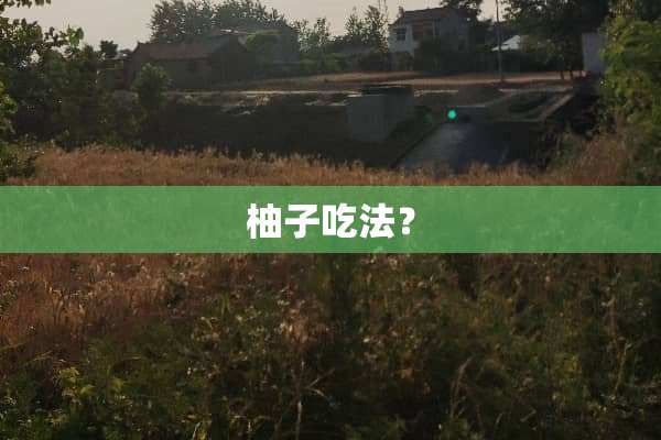 柚子吃法？