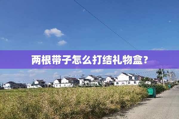 两根带子怎么打结礼物盒？