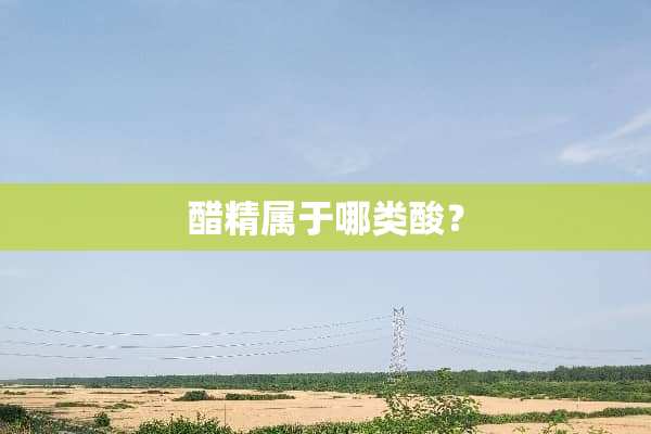 醋精属于哪类酸？