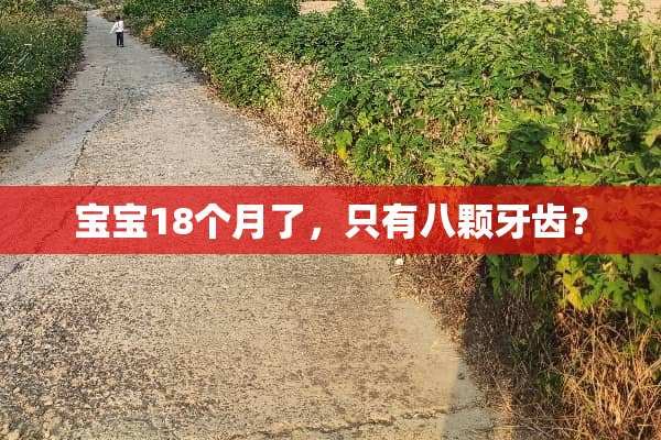 宝宝18个月了，只有八颗牙齿？