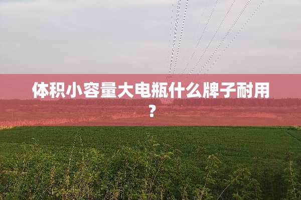 体积小容量大电瓶什么牌子耐用？