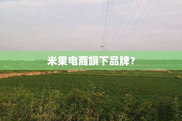 米果电商旗下品牌？