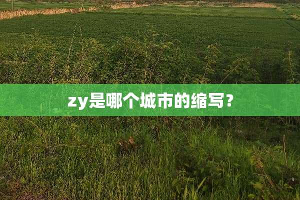 zy是哪个城市的缩写？
