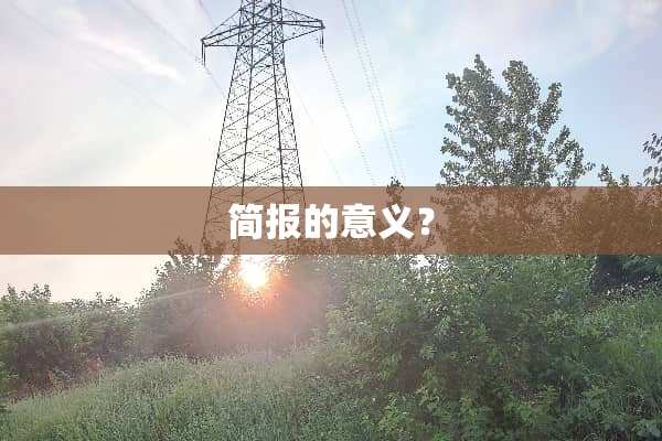 简报的意义？