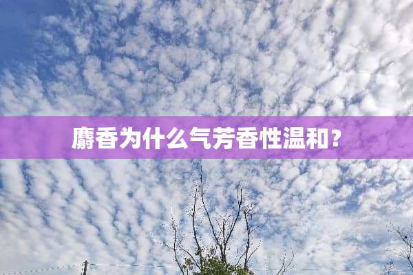 麝香为什么气芳香性温和？