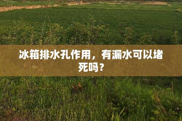 冰箱排水孔作用，有漏水可以堵死吗？