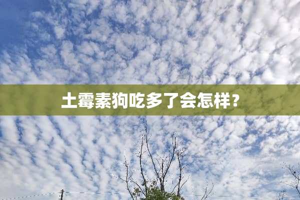 土霉素狗吃多了会怎样？
