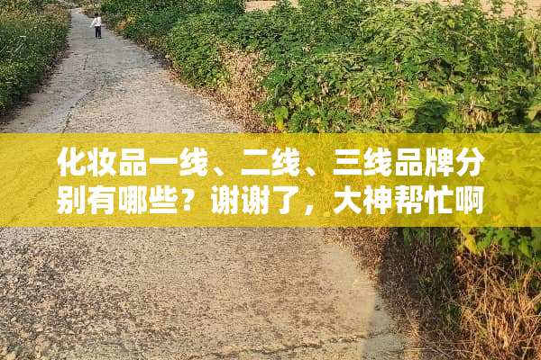 化妆品一线、二线、三线品牌分别有哪些？谢谢了，大神帮忙啊？