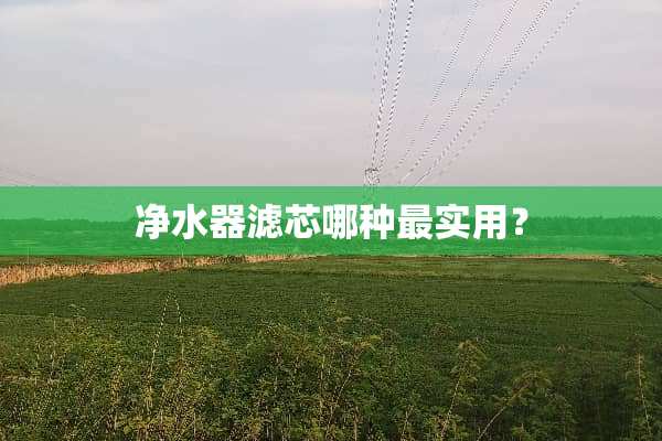 ***滤芯哪种最实用？