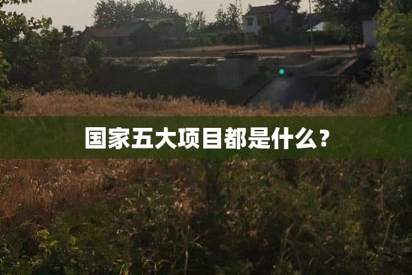 国家五大项目都是什么？