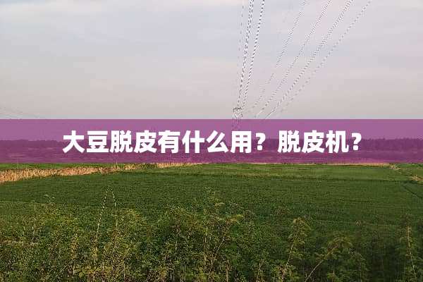大豆脱皮有什么用？脱皮机？