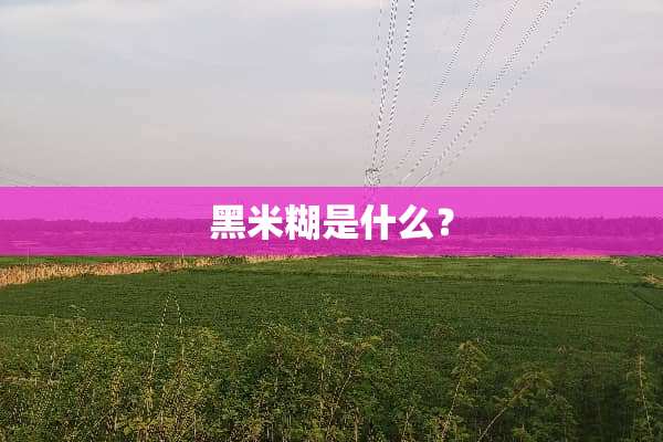 黑米糊是什么？