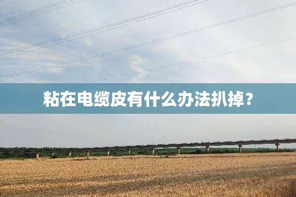 粘在电缆皮有什么办法扒掉？