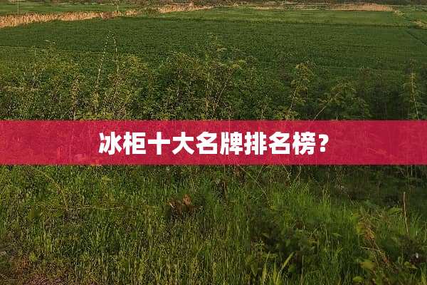 冰柜十大名牌排名榜？
