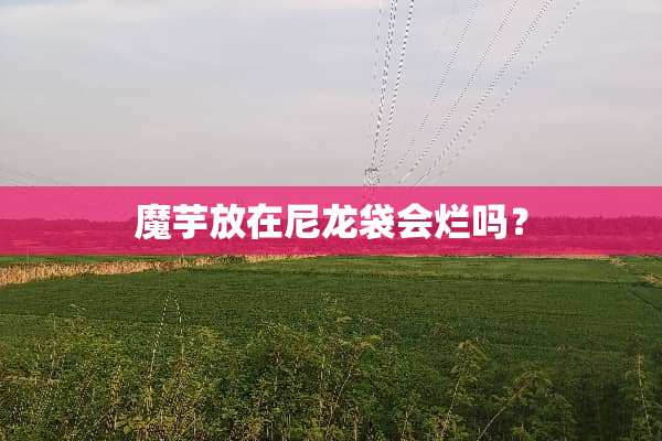 魔芋放在尼龙袋会烂吗？