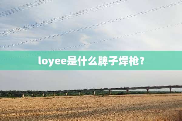 loyee是什么牌子焊*？