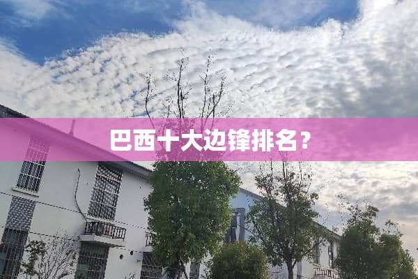 巴西十大边锋排名？