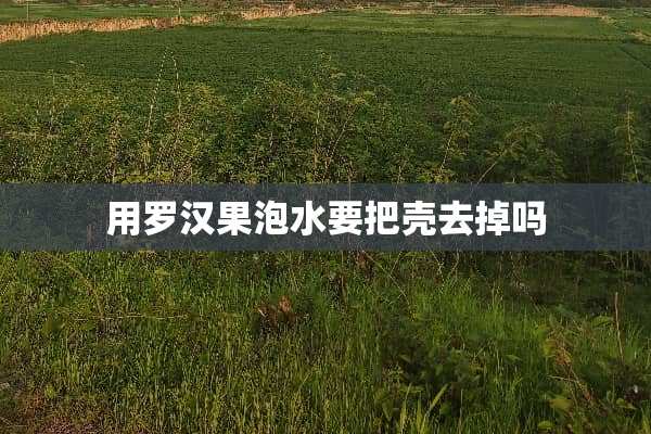 用罗汉果泡水要把壳去掉吗