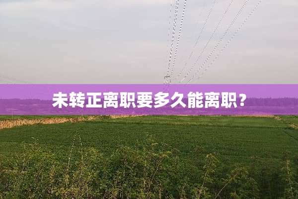 未转正离职要多久能离职？